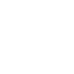 ld-icon-167-white.png-launchwise.ca