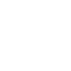 ld-icon-24.png (1)-launchwise