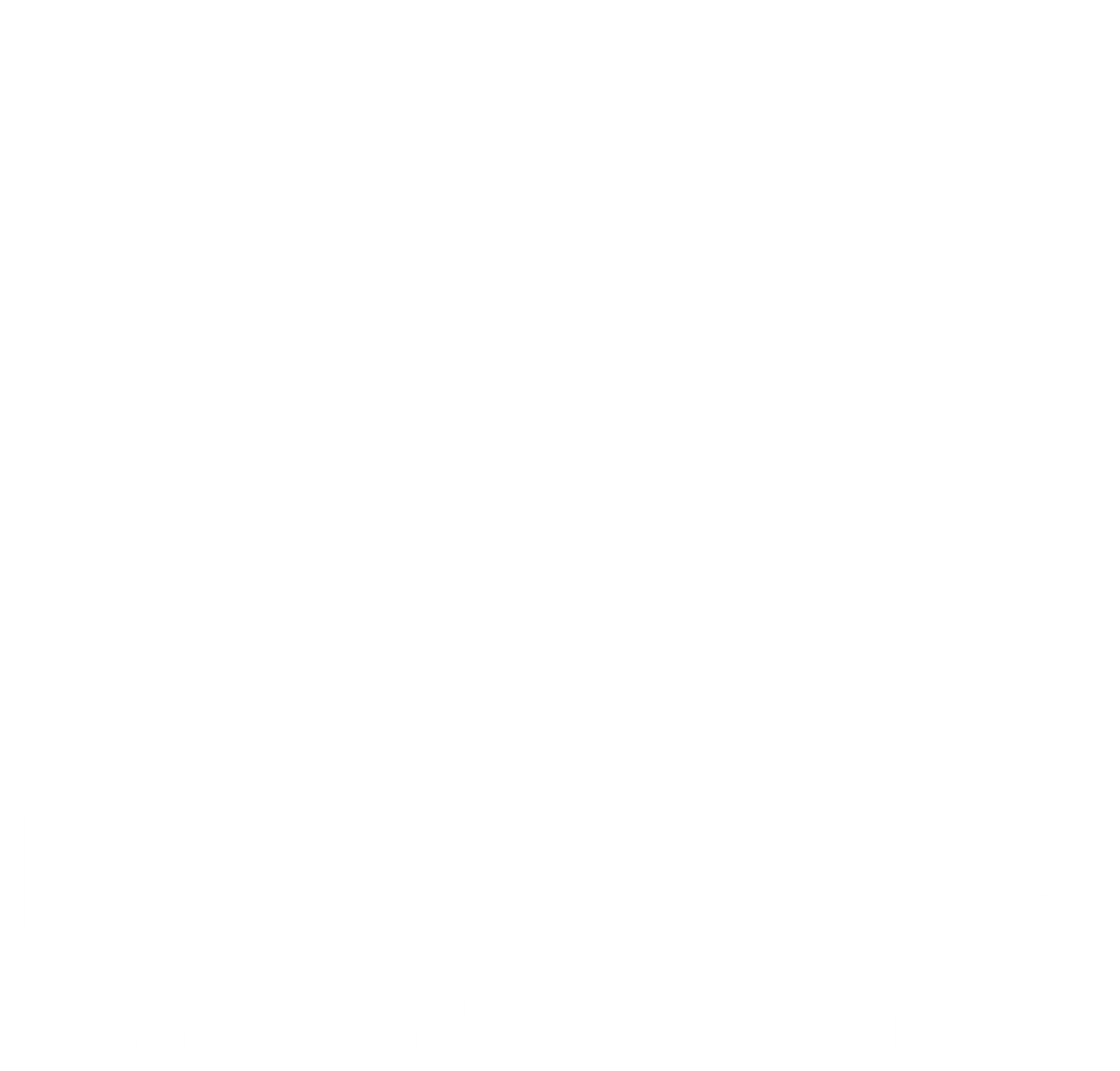 whitelogo-launchwise.ca